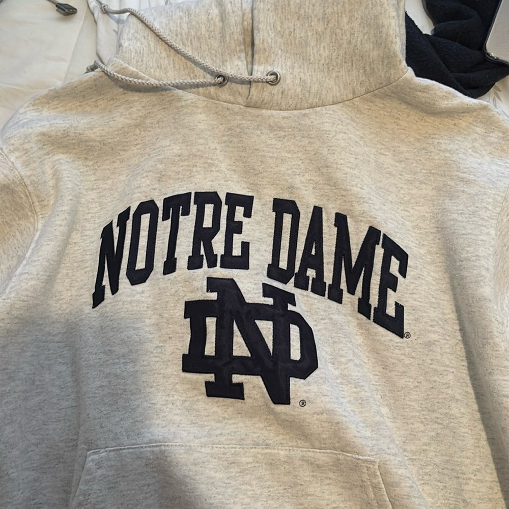 Champion hoodie